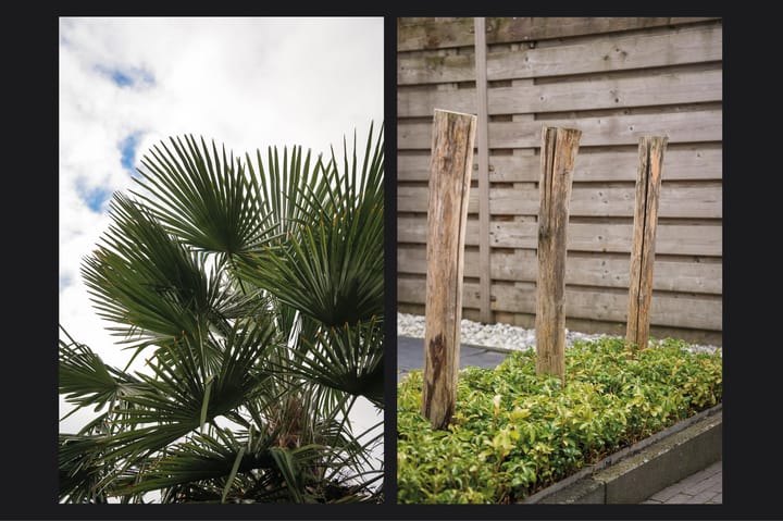 Foto 35 van Thijsselaan 25