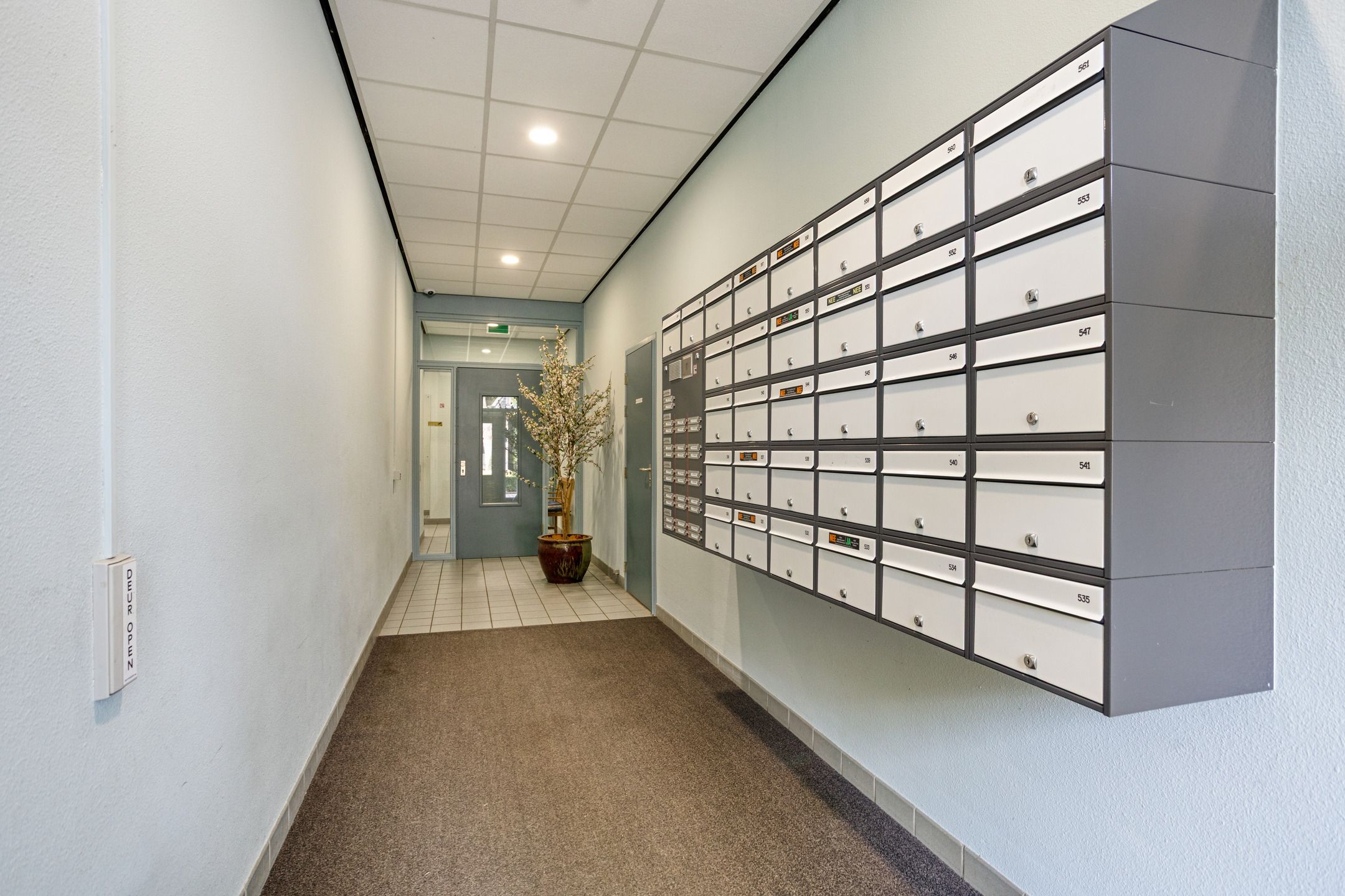 Foto 6 van Vondelstaete 536