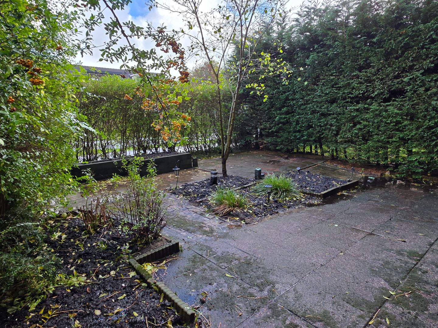 Foto 4 van Stortemelk 22