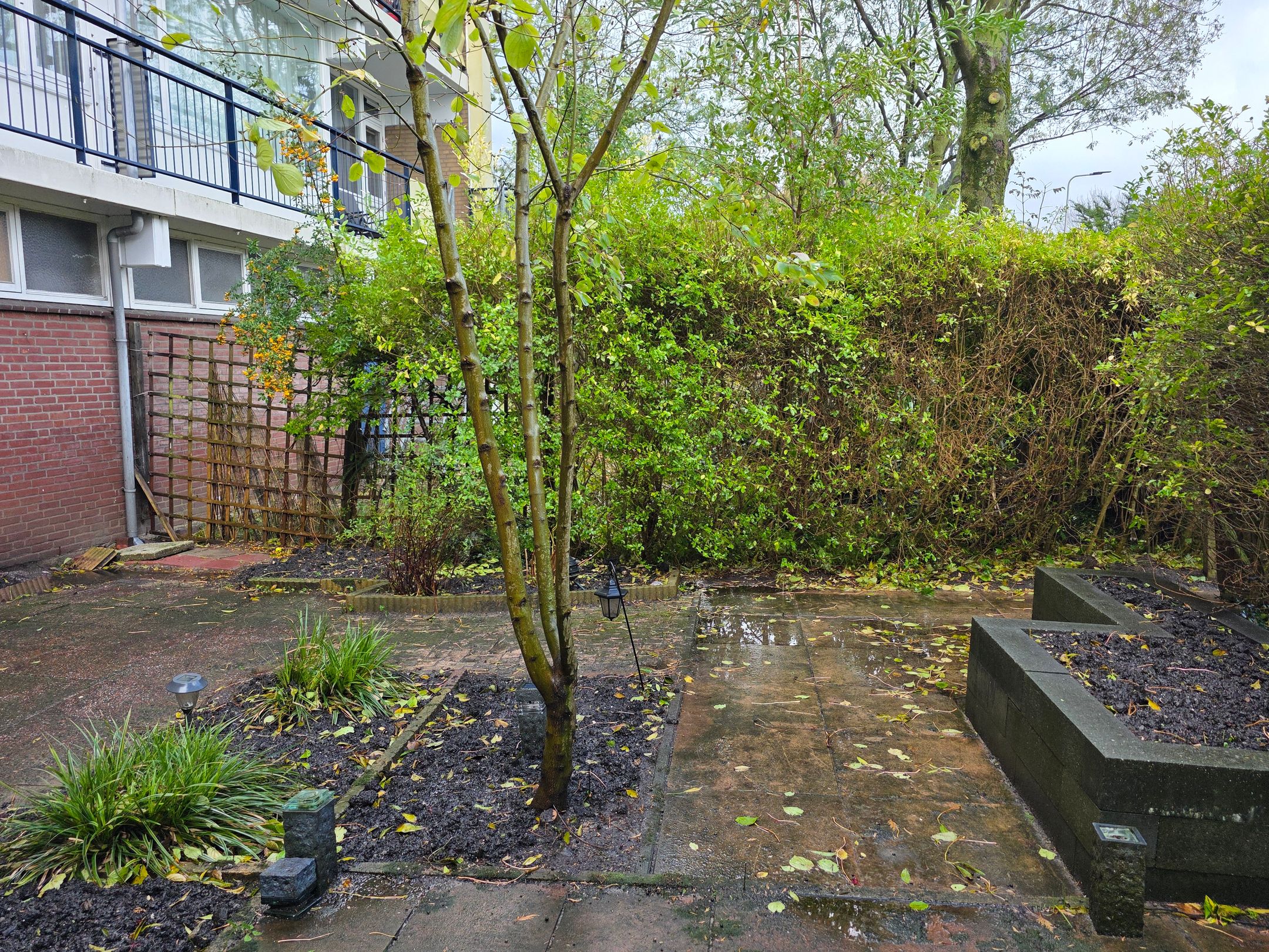 Foto 30 van Stortemelk 22