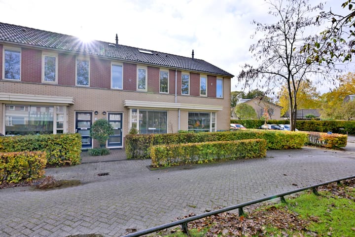 Foto 31 van Lauweriksplein 10