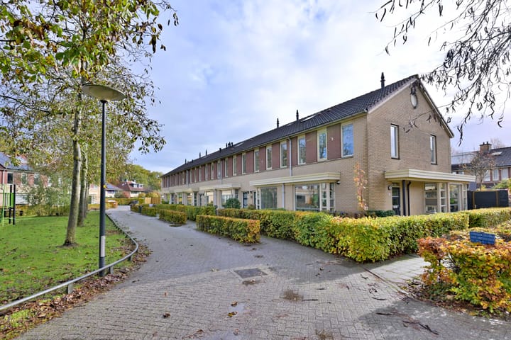 Foto 32 van Lauweriksplein 10