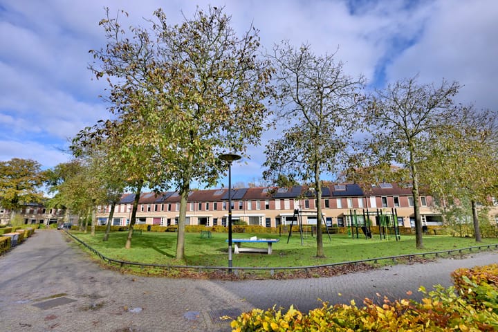 Foto 35 van Lauweriksplein 10