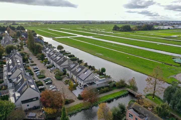 Photo 3 of Zwarte mees 15