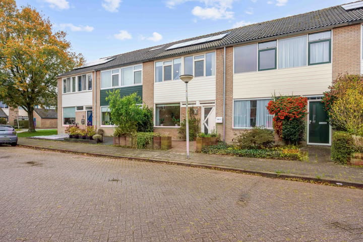 Foto 2 van Maagdepalm 78