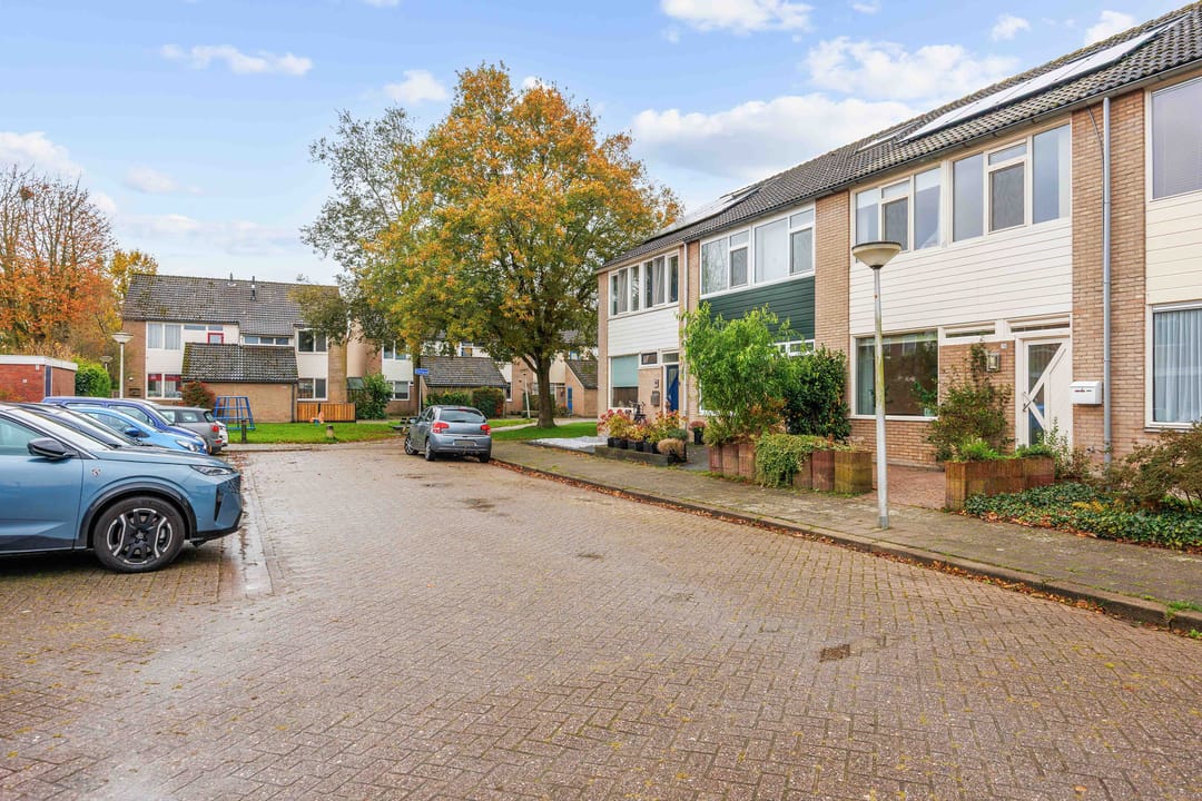 Foto 32 van Maagdepalm 78