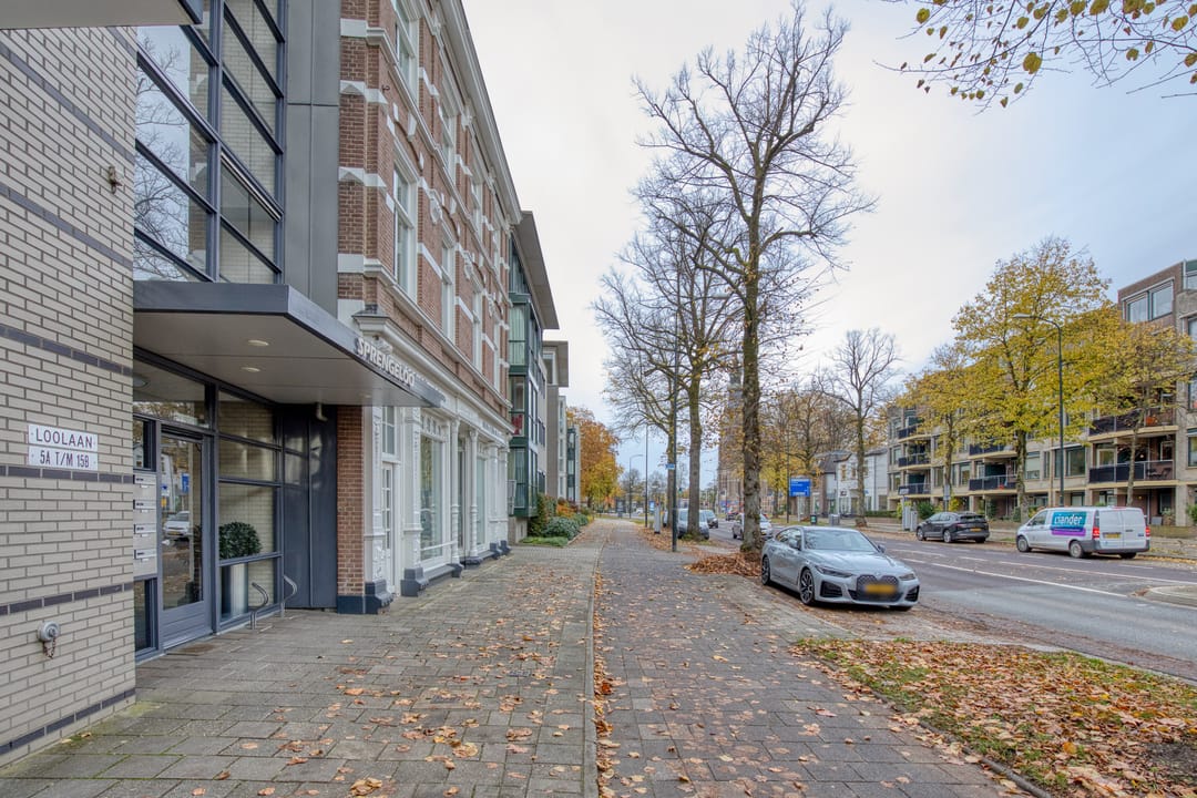 Foto 22 van Loolaan 7-A