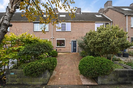 Heliotroop thumbnail