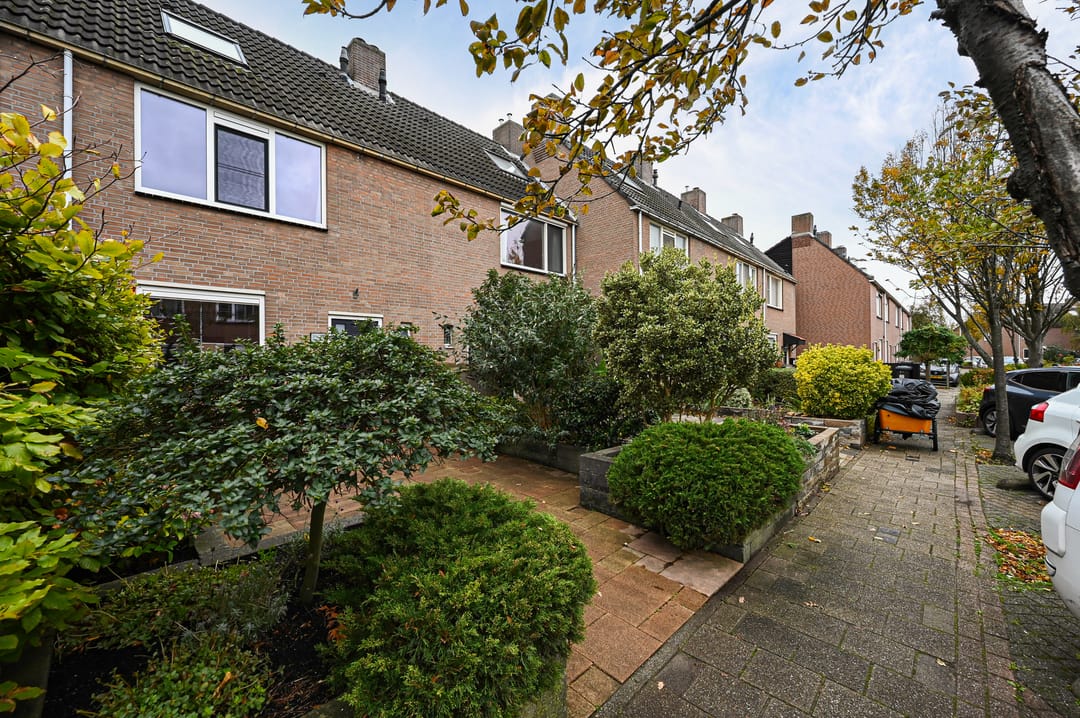 Photo 22 of Heliotroop 76