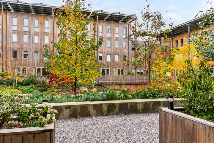 Foto 46 van Belgradostraat 49