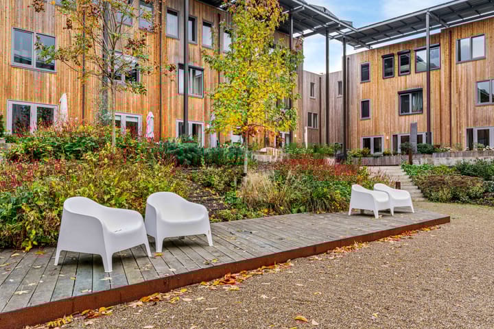 Foto 50 van Belgradostraat 49