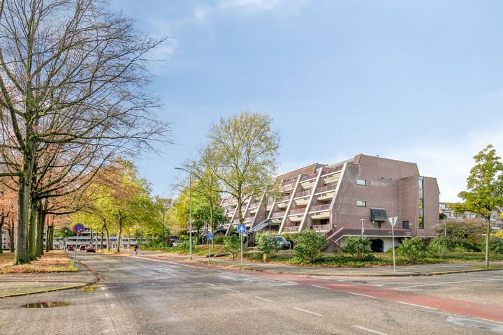 Foto 2 van Borchmolen 30