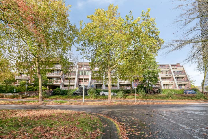 Foto 3 van Borchmolen 30