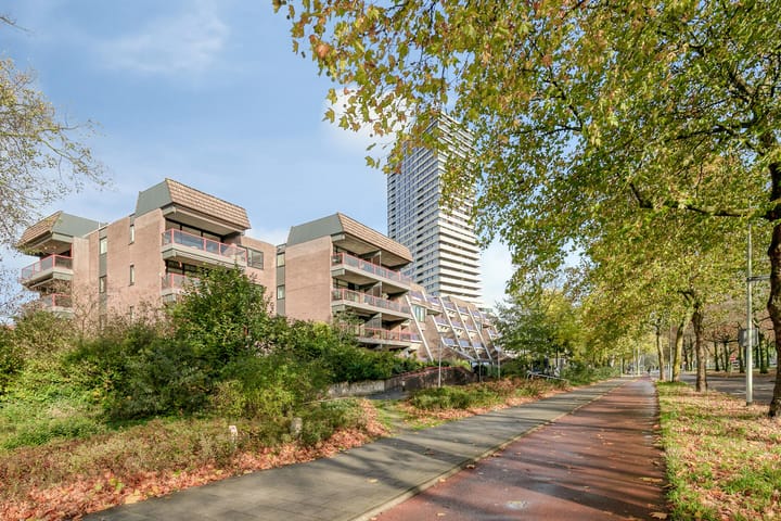 Foto 5 van Borchmolen 30