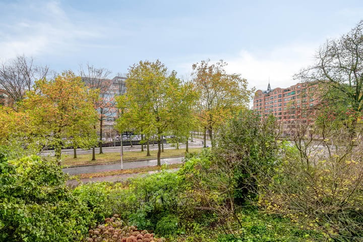 Foto 20 van Borchmolen 30