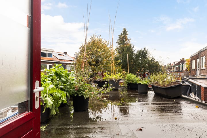 Foto 28 van Achter de Hoven 233