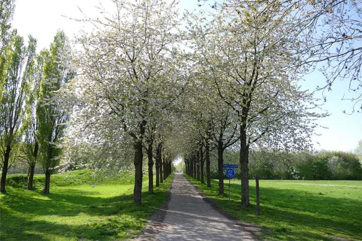 Foto 40 van Maurice Chevalierstraat 6