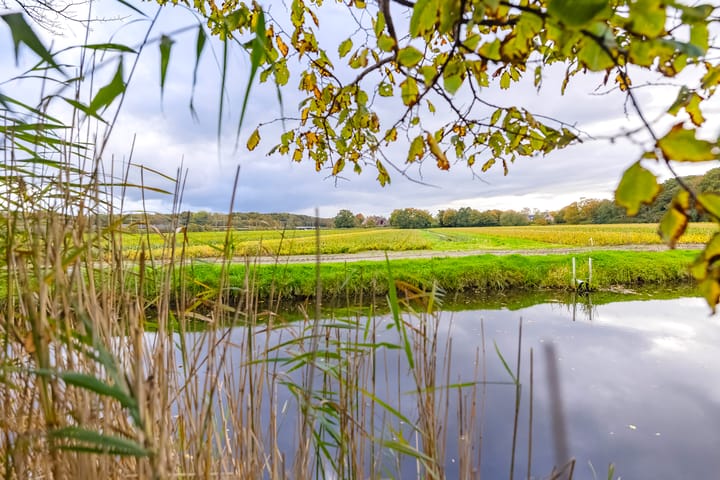 Photo 66 of Bekslaan 58