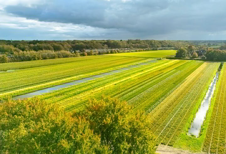 Photo 73 of Bekslaan 58