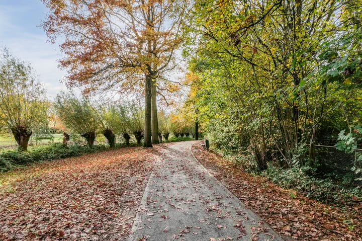 Photo 57 of Borchmolendijk 46