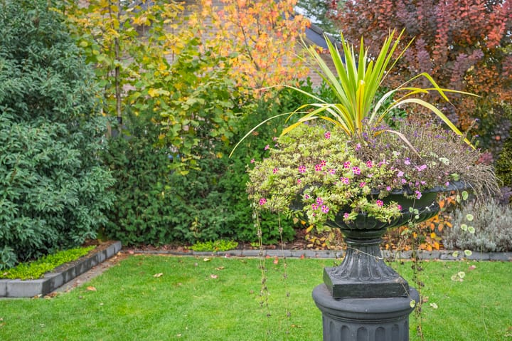 Foto 40 van Loenenseweg 89