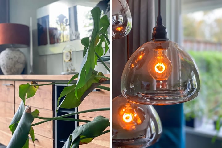 Foto 9 van Mahonie 139