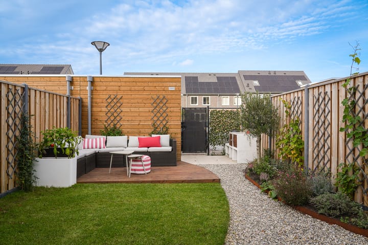 Photo 3 of Boerenzwaluw 9