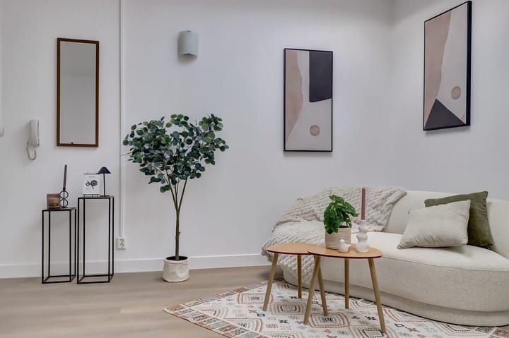 Foto 4 van Johannes Uitenbogaertstraat 21-G