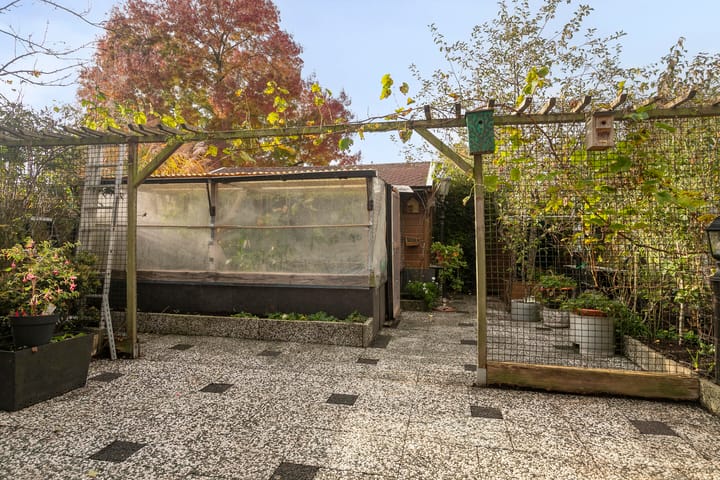 Photo 25 of De Heraut 24