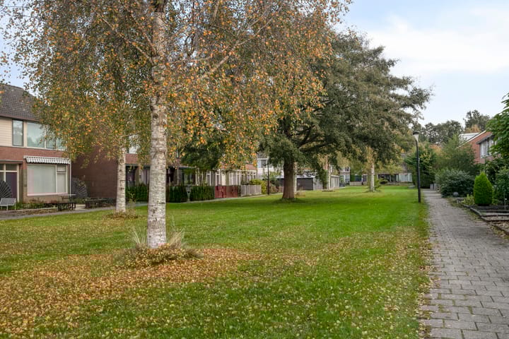 Photo 31 of De Heraut 24