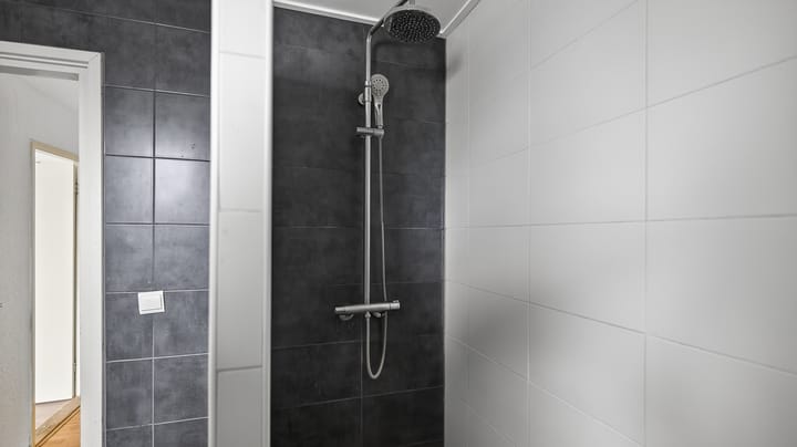 Foto 13 van Bornerbroeksestraat 235