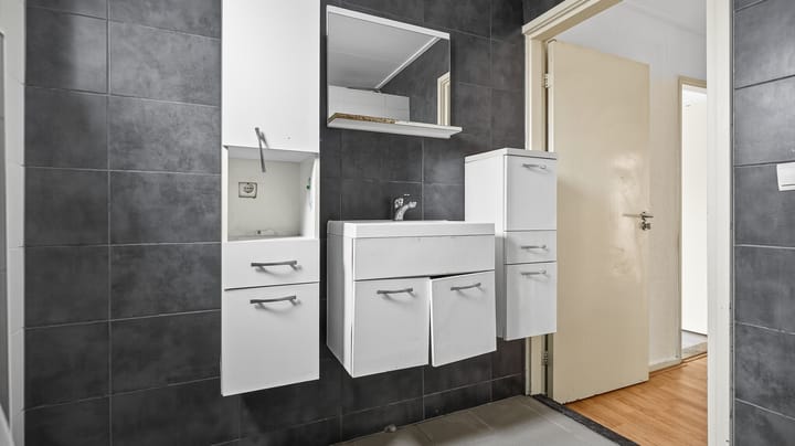 Foto 14 van Bornerbroeksestraat 235