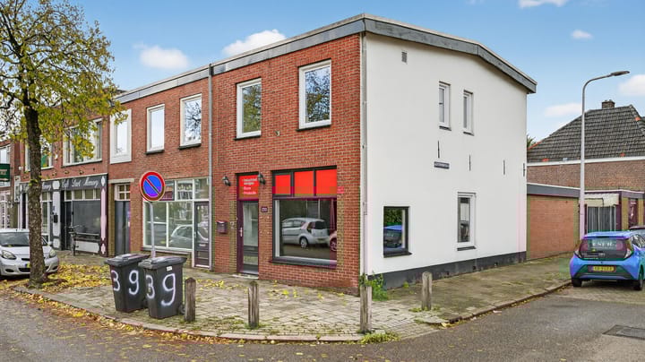Bornerbroeksestraat 233