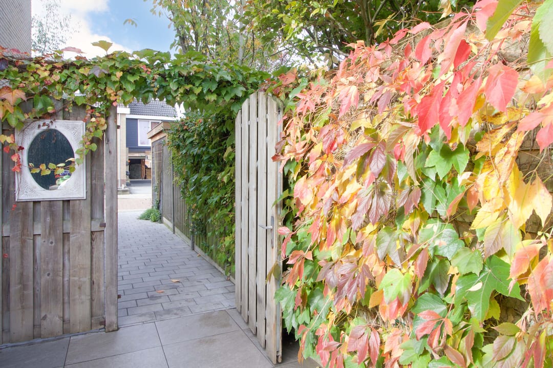 Photo 41 of Da Costastraat 1