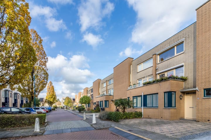 Photo 2 of Palmhout 20