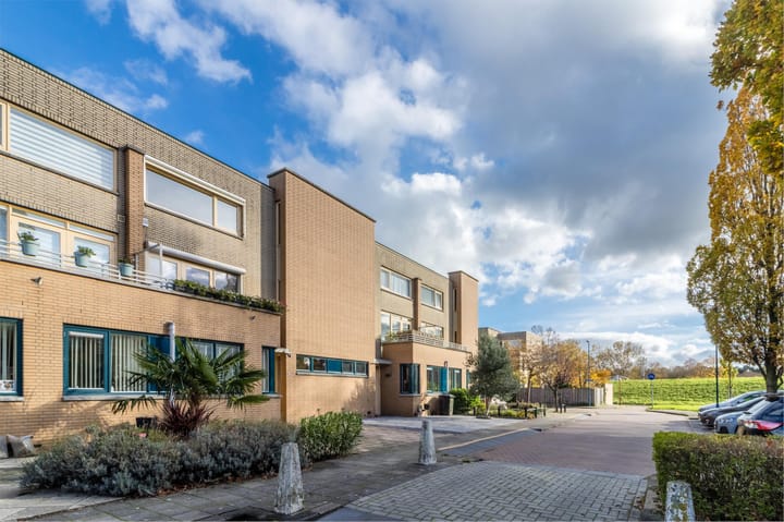 Photo 3 of Palmhout 20