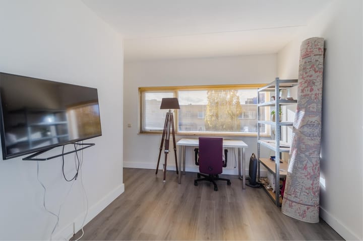 Photo 37 of Palmhout 20