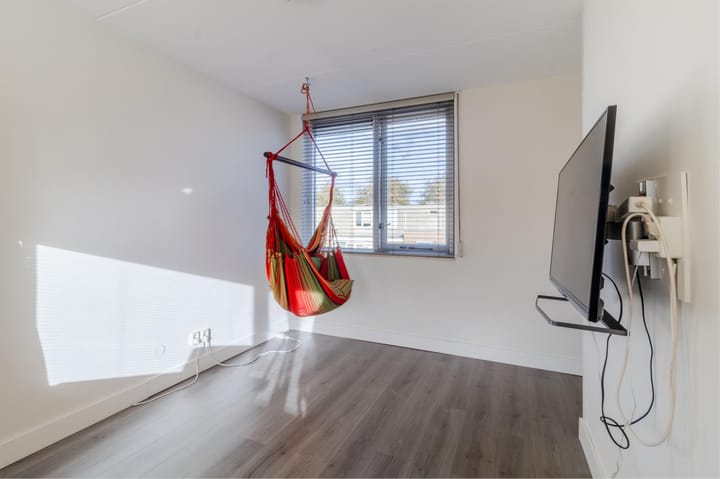 Photo 38 of Palmhout 20