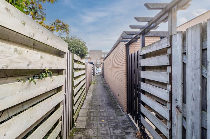 Photo 49 of Palmhout 20