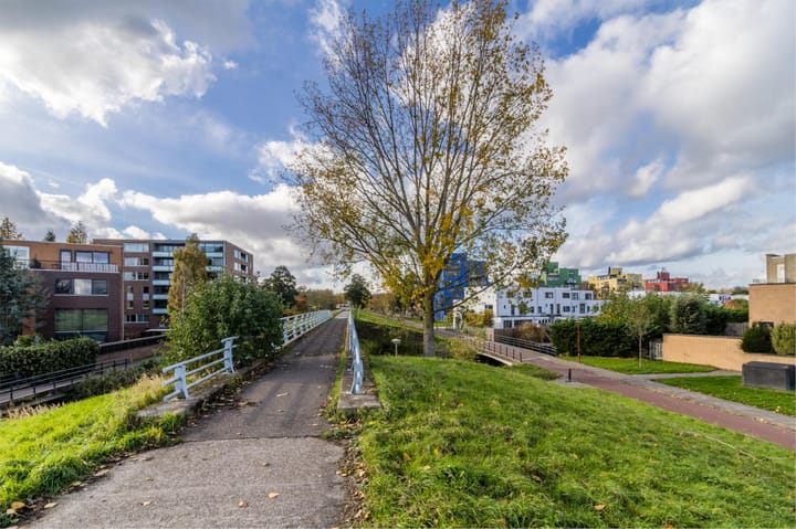 Photo 55 of Palmhout 20