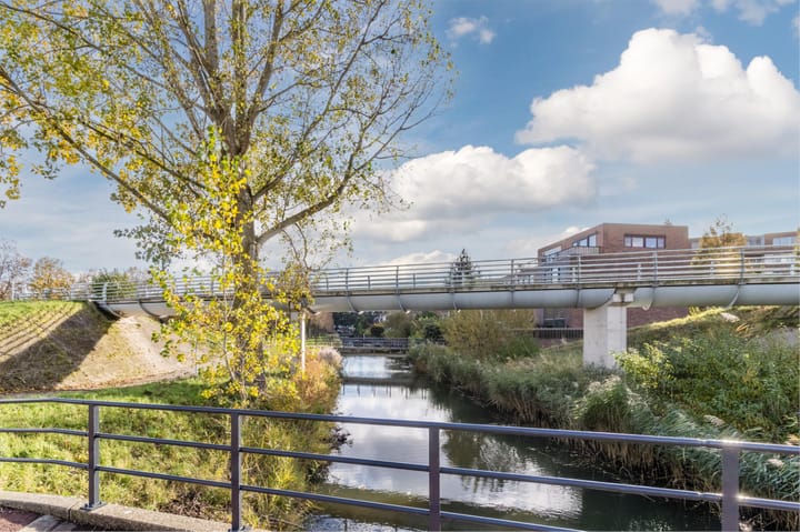 Photo 56 of Palmhout 20