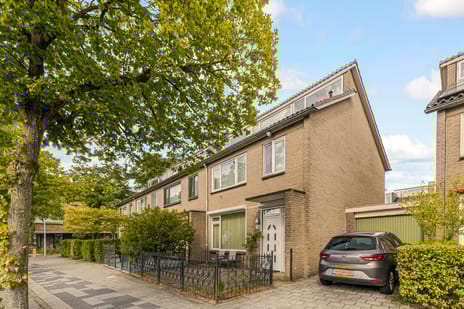 undefined main image