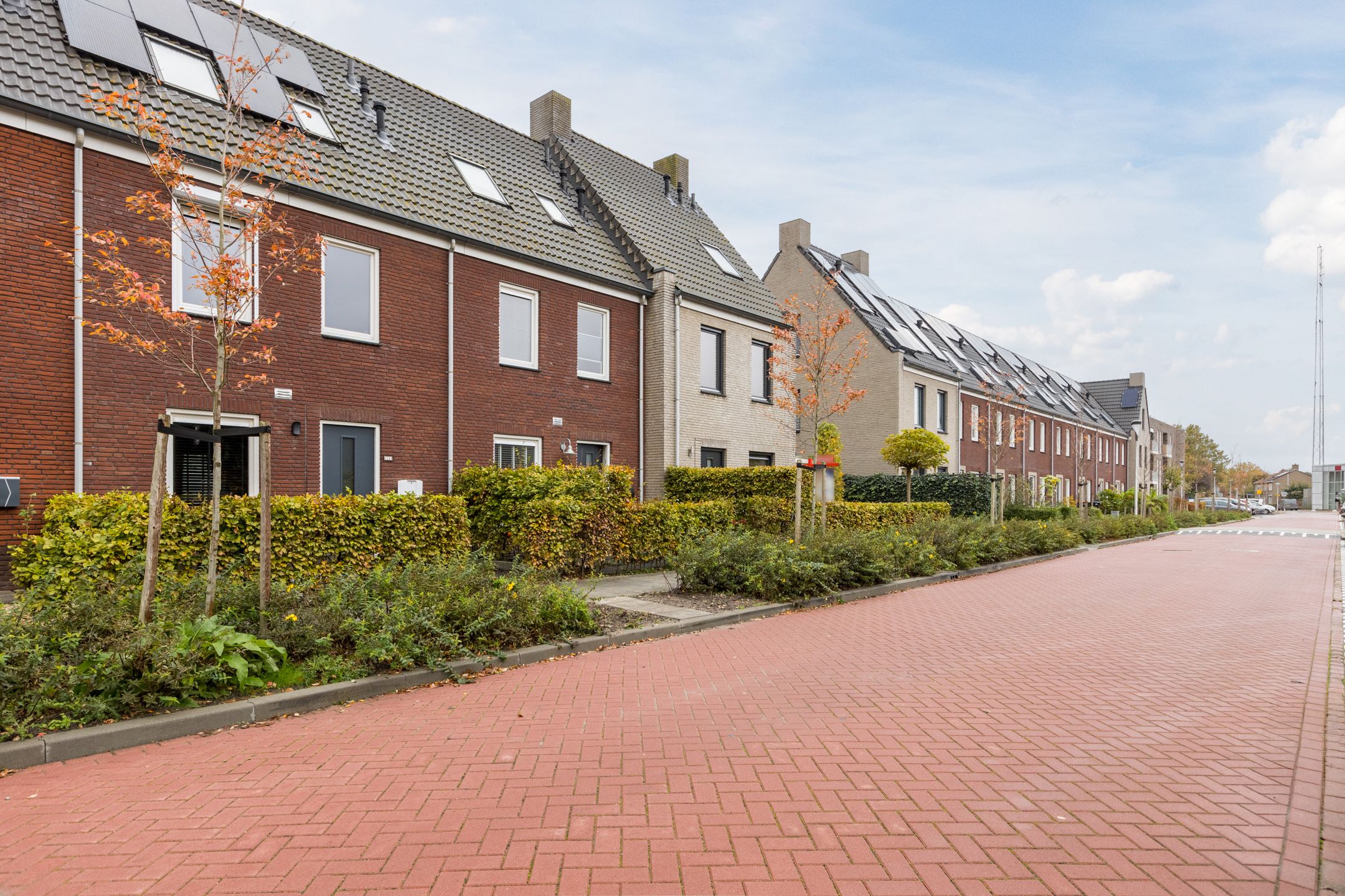 Foto 9 van De Spindel 22