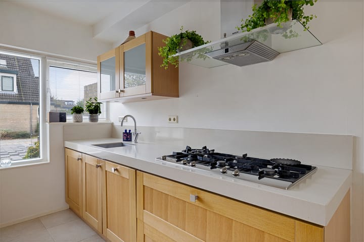 Foto 20 van Regenboog 24