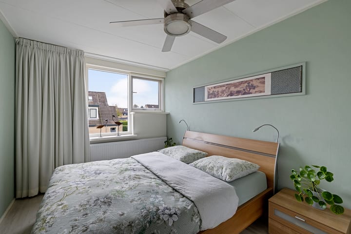 Foto 23 van Regenboog 24