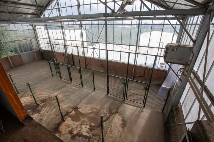 Foto 58 van Oosteinderweg 116