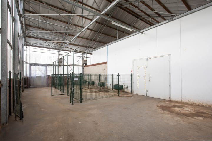 Foto 60 van Oosteinderweg 116