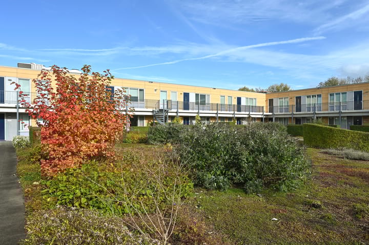 Photo 24 of De Minnehof 56