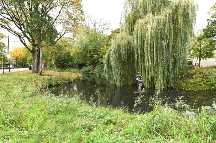 Photo 33 of De Minnehof 56