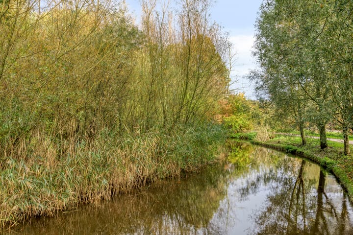 Photo 41 of Doornenburg 90